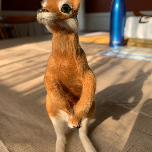 Vintage Kangaroo & Joey Goat Fur 8" - Picture 2 of 4